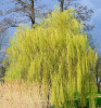 ef4290ba_55bc_11ec_bba5_00155d328302_ef4290bb_55bc_11ec_bba5_00155d328302.resize1