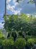 2168DC84-EDB3-42DF-9068-84E33D32