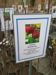 CIOYzP3PNVQ.jpg@webp (1)